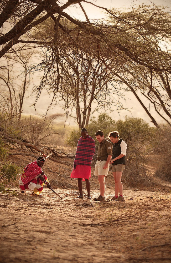Guided midday discovery during a day on safari with local Maasai sharing knowledge with safari guests.