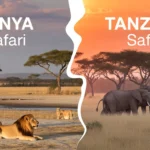 Kenya vs Tanzania Safari