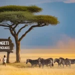 Serengeti Safari Packages