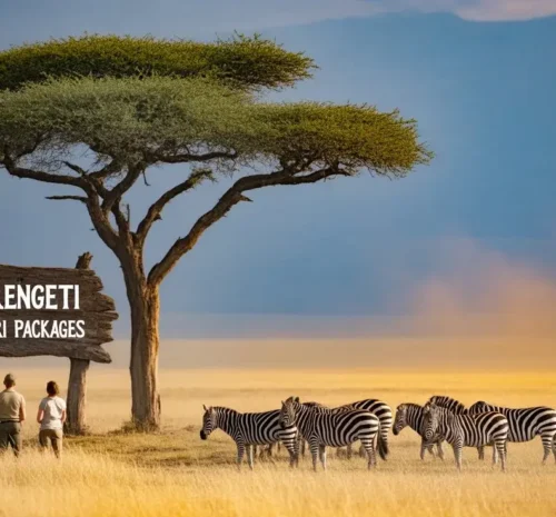 Serengeti Safari Packages