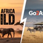 East Africa Wild vs Go2Africa :“ Bespoke vs Digital Safari Planning