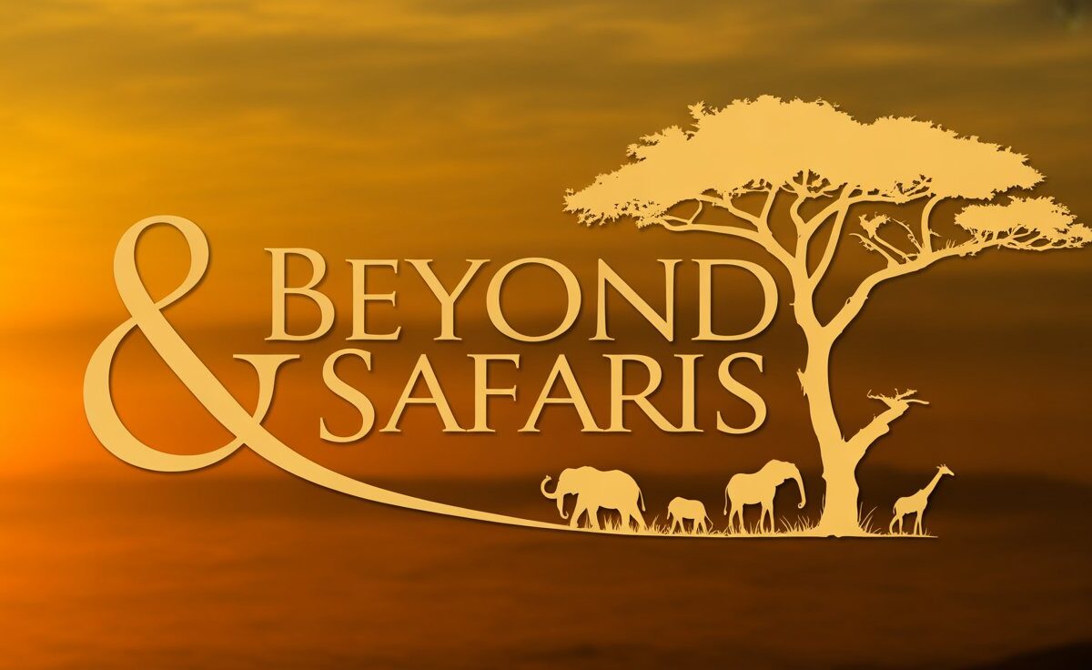 Best Alternatives to &Beyond Safaris