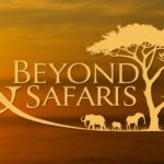 Best Alternatives to &Beyond Safaris