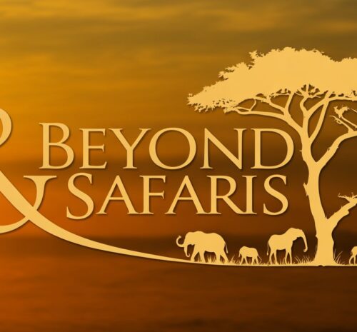 Best Alternatives to &Beyond Safaris
