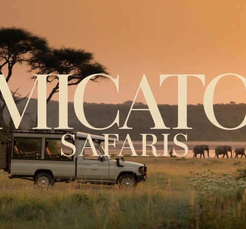 Micato Safaris