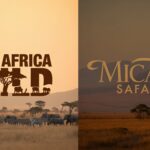East Africa Wild vs Micato Safaris