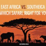 East Africa vs. Southern Africa: Which Safari Is Right for You?