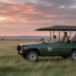 The Best Serengeti Safari Camp Packages That Include Guided Game Drives and Meals