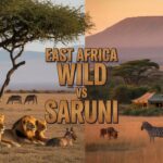 East Africa Wild vs Saruni