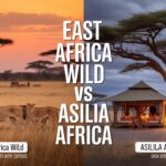 East Africa Wild vs Asilia Africa