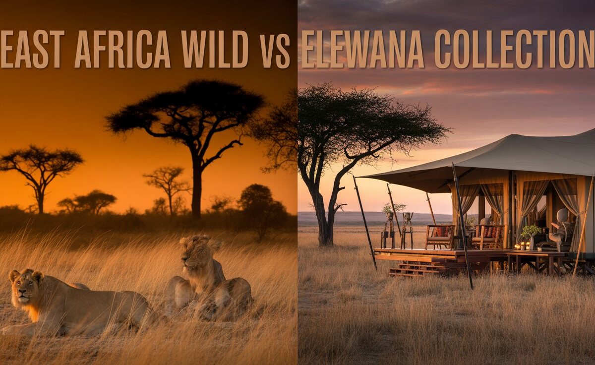 East Africa Wild vs Elewana Collection