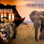 East Africa Wild vs AfricanMecca Safaris