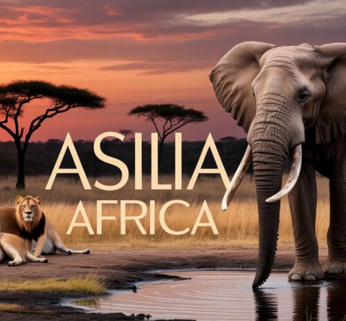 Asilia Africa