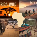 East Africa Wild vs Intrepid Travel