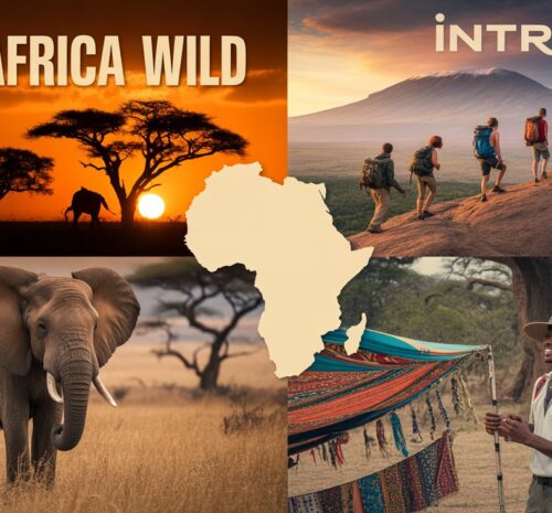 East Africa Wild vs Intrepid Travel