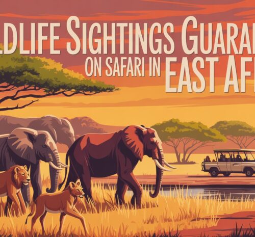 wildlife sightings guaranteed